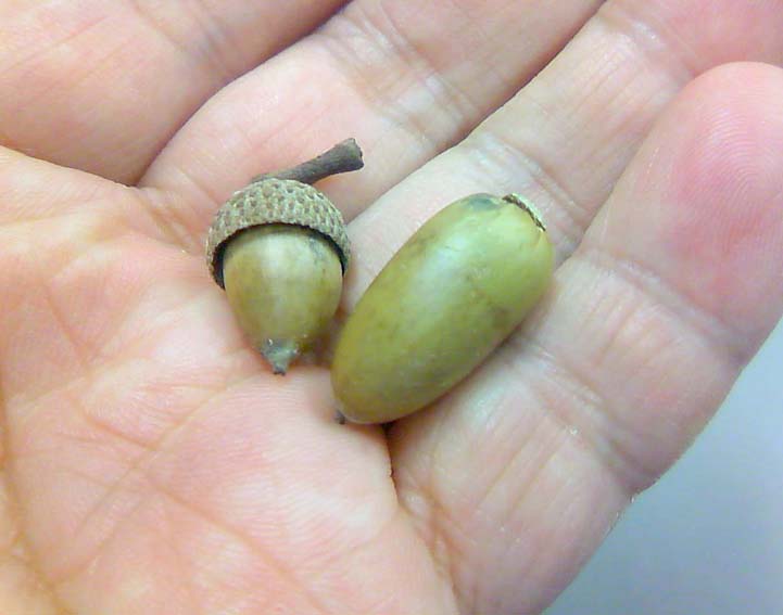photo3.jpg